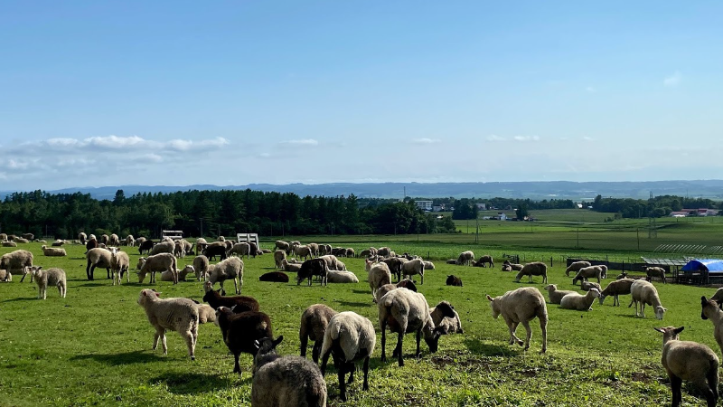 池田キャンパスボーヤファーム