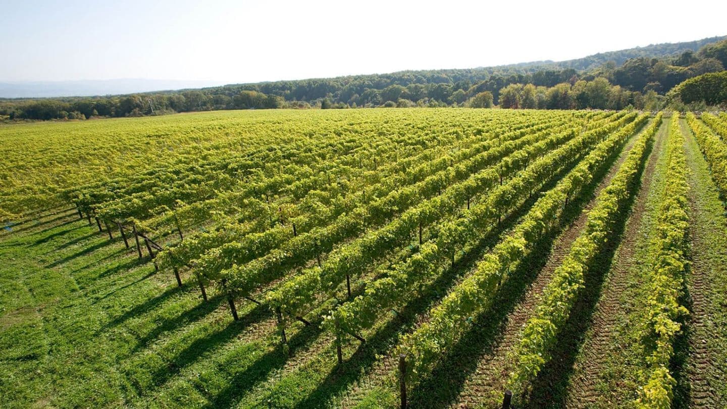 空知キャンパス浦臼ワイナリー