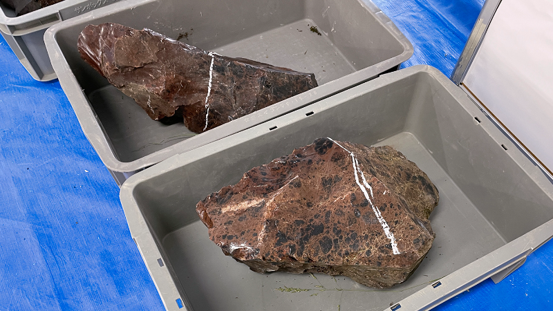 白滝キャンパス黒曜石