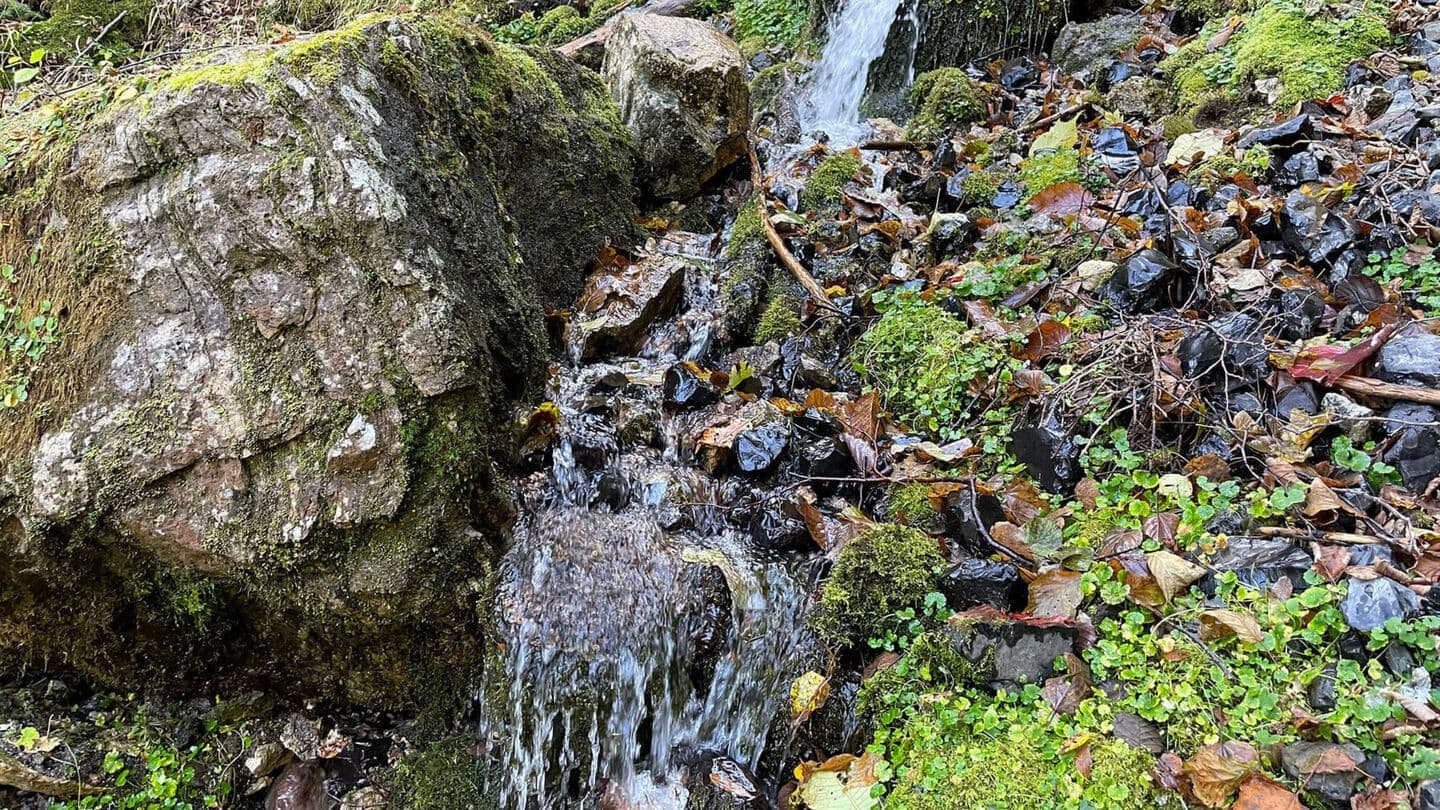 あじさいの滝路頭